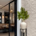 Ver imagem 6 de 9 Unidades Planta Artificial Realista Filodendro Xanadu Premium para Decoração de Vaso e Projetos