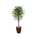Ver imagem 1 de Planta Artificial Ficus Verde 1,50 kit + Vaso E. Marrom 30 cm