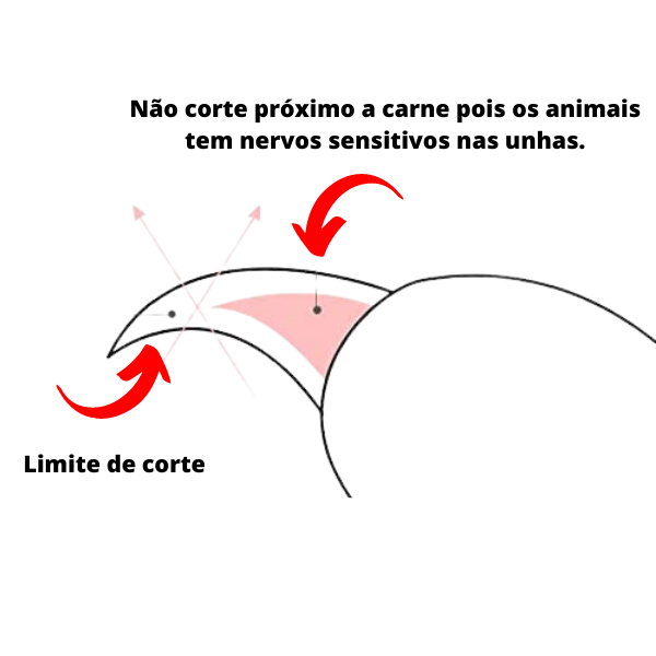 Alicate para Cortar Unha Cães e Gatos Com Mola Inox Pet ninho ALICATE PARA CÃES E GATOS Rosa - 6