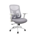 Ver imagem 1 de Cadeira Escritório Ergonômica NR17 Tela Mesh Base Giratória Apoio Lombar Braços Ajustáveis Gelo