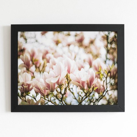 Quadro Magnólia Yulan Rosa Flor China Moldura Preta 60x40cm