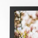 Ver imagem 2 de Quadro Magnólia Yulan Rosa Flor China Moldura Preta 60x40cm