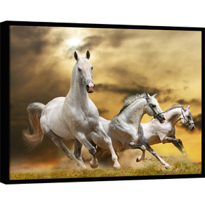 Quadro Decorativo Abstrato Animais Cavalos Cavalo Branco Tela em Canvas Filete Gg