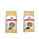 Ver imagem 1 de Combo 2un Ração Royal Canin Persian Gatos Adultos 7,5kg