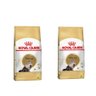 Combo 2un Ração Royal Canin Persian Gatos Adultos 7,5kg - 1