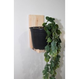Suporte Prateleira Para Mini Vasos - Linha Garden - 2