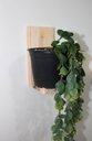 Ver imagem 2 de Suporte Prateleira Para Mini Vasos - Linha Garden