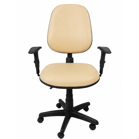 Cadeira Escritório Ergonômica NR17 Executiva Giratória Work Braços Ajuste Encosto e Altura