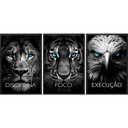 Ver imagem 1 de Kit 3 Quadros Animais Disciplina Foco Execução 33x24cm:moldura Preta
