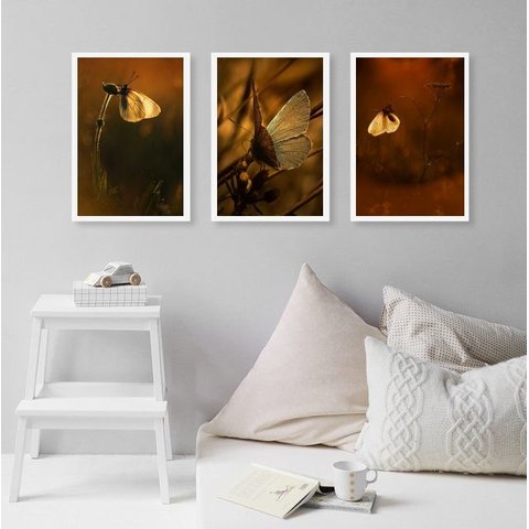 Kit 3 Quadros Fotografias Borboletas Marrom 45x34cm:madeira Preta