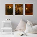 Ver imagem 1 de Kit 3 Quadros Fotografias Borboletas Marrom 45x34cm:madeira Preta