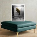 Ver imagem 2 de Quadro Divertido Banheiro - Tiranossauro 33x24cm - com Vidro:moldura Preta