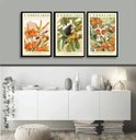Ver imagem 1 de Kit 3 Quadros Passarinhos Flores e Frutos Laranja 45x34cm - com Vidro:moldura Branca