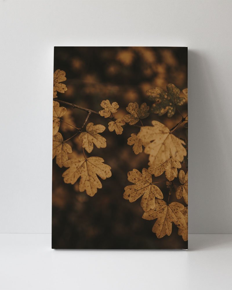 Tela em Canvas 090