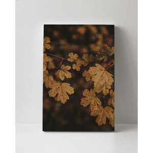Tela em Canvas 090