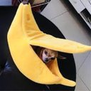 Ver imagem 3 de Casinha Cachorro Caminha Pet Gato Banana Cama Pelúcia Grande Portátil Almofada Cães Viagem Toca