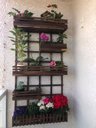 Ver imagem 2 de Jardim Vertical - Floreira Jv14