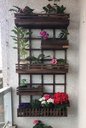 Ver imagem 3 de Jardim Vertical - Floreira Jv14
