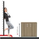 Ver imagem 7 de Armário para Escrotório Baixo 02 Portas Pivotante Marrom/Salvia/Noce Marromle