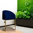 Ver imagem 2 de Poltrona Banqueta Decorativa Estofada Mia Veludo Base Metal Dourada - Estopar Poltrona Mia Veludo Az