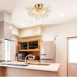 Lustre Plafon Teto Redondo Cristal Dente de Leão 50cm Dourado - 4