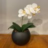 Arranjo Centro De Mesa Orquídea Branca Artificial Vaso Preto - 3