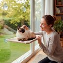 Ver imagem 6 de Caminha de Gato Janela Ventosas Alta Fixacao Retratil Flutuante Pratica Segura Confortavel Lavavel