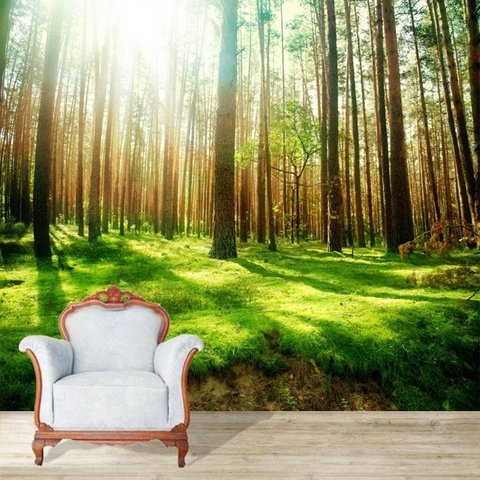 Papel de Parede Adesivo , Floresta, Campo, Paisagem, Auto Adesivo - Modelo 1