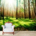 Ver imagem 1 de Papel de Parede Adesivo , Floresta, Campo, Paisagem, Auto Adesivo - Modelo 1