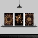 Ver imagem 2 de Kit 3 Quadros Flores Girassóis Bronze 33x24cm:Madeira preta