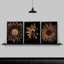 Ver imagem 1 de Kit 3 Quadros Flores Girassóis Bronze 33x24cm:Madeira preta