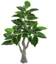 Ver imagem 1 de Planta Árvore Artificial Alocásia Real Toque X42 Verde 1,20m