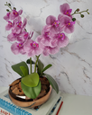 Ver imagem 3 de Arranjo Com 2 Orquídeas Violeta Vaso Cobre 22cm