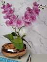 Ver imagem 1 de Arranjo Com 2 Orquídeas Violeta Vaso Cobre 22cm