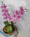 Ver imagem 2 de Arranjo Com 2 Orquídeas Violeta Vaso Cobre 22cm