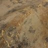 Papel de Parede Efeito Manchado Bege Escuro+ Cola Inclusa- Vinilico Lavável - 8