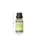 Ver imagem 3 de Essência Concentrada Dia a Dia 20ml Bambu Chinês Acqua Aroma