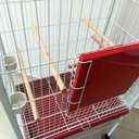 Ver imagem 6 de Viveiro Grande para Calopsita Papagaio Ringneck Aves Luxo - Vermelho