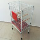 Ver imagem 7 de Viveiro Grande para Calopsita Papagaio Ringneck Aves Luxo - Vermelho