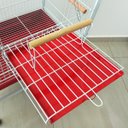 Ver mais imagens de Viveiro Grande para Calopsita Papagaio Ringneck Aves Luxo - Vermelho