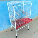 Ver imagem 5 de Viveiro Grande para Calopsita Papagaio Ringneck Aves Luxo - Vermelho