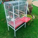 Ver imagem 4 de Viveiro Grande para Calopsita Papagaio Ringneck Aves Luxo - Vermelho