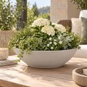 Ver imagem 2 de Vaso Baixo para Plantas Flores Suculentas 55x17cm Tramontina