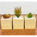 Ver imagem 2 de Kit 3 Vasos Decorativos Cubos de Madeira Pinus Suculentas Plantas Artificiais