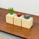 Ver imagem 1 de Kit 3 Vasos Decorativos Cubos de Madeira Pinus Suculentas Plantas Artificiais