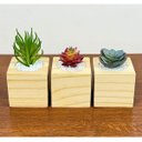Ver imagem 3 de Kit 3 Vasos Decorativos Cubos de Madeira Pinus Suculentas Plantas Artificiais