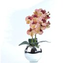 Ver imagem 1 de Arranjo 2 Orquídeas Outonadas em Vaso Prata Lana