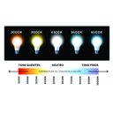 Ver imagem 5 de Kit 5x Lâmpadas Bulbo Led 9w Bivolt Branco Frio - Elgin