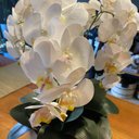 Ver imagem 2 de Arranjo Grande Centro de Mesa 3 Orquídeas Branca 3d Vaso Branco Decore Fácil Shop