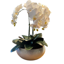 Ver imagem 1 de Arranjo Grande Centro de Mesa 3 Orquídeas Branca 3d Vaso Branco Decore Fácil Shop